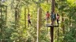 0012693_whistler-superfly-zipline-and-aerial-obstacle-course_260.jpeg